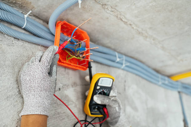 Best Home Electrical Repair  in Laurel Lake, NJ